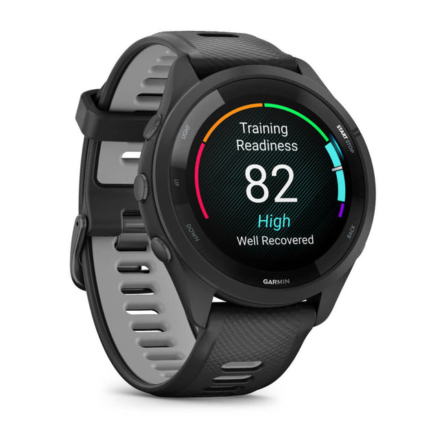 Garmin 010-02810-10
