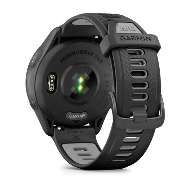 Garmin 010-02810-10