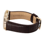 Citizen Men's BM7463-12A Classic Eco-Drive