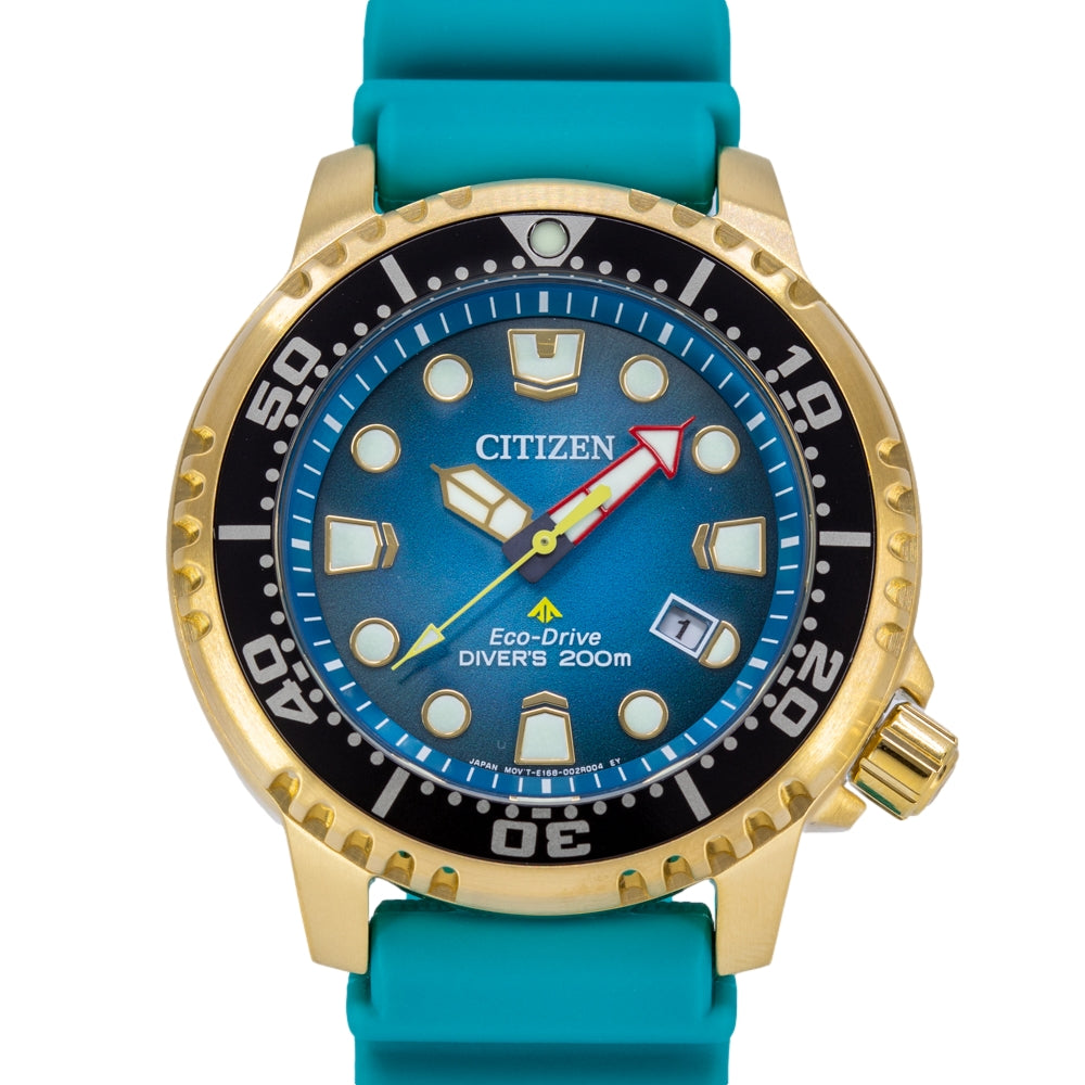 Citizen Men's BN0162-02X Promaster Diver's 200mt Eco-Drive