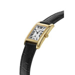 Frederique Constant FC-235S2C5
